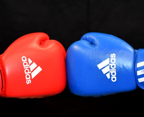 Boxing gloves