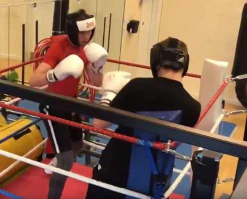 DiSE in gym
