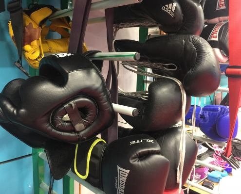 Boxing headguards