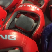 Sting-headguards-scaled